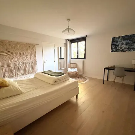 6 Ch. Avec Sauna, Jardin Et Parking Pres Du Bassin D'arcachon - Fr-1-736-51 *