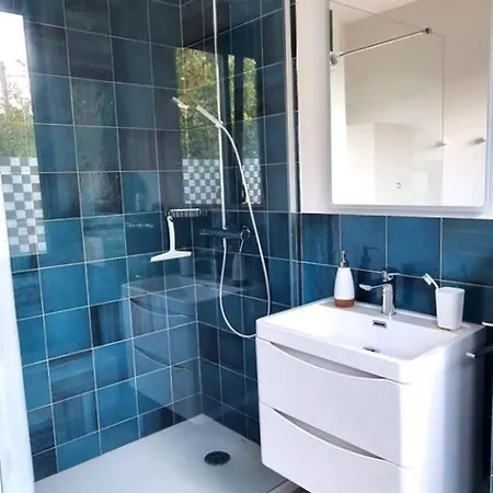 6 Ch. Avec Sauna, Jardin Et Parking Pres Du Bassin D'arcachon - Fr-1-736-51 别墅
