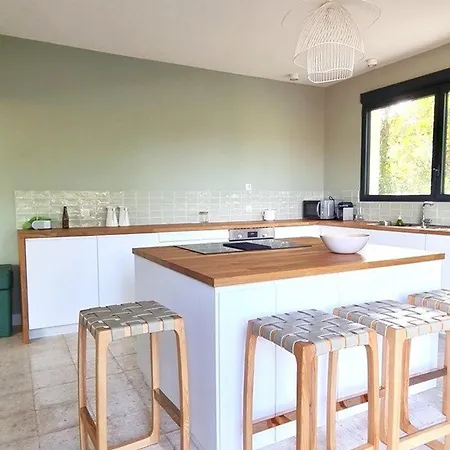 6 Ch. Avec Sauna, Jardin Et Parking Pres Du Bassin D'arcachon - Fr-1-736-51