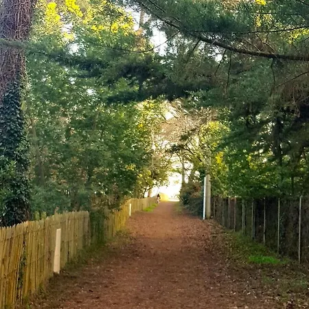 6 Ch. Avec Sauna, Jardin Et Parking Pres Du Bassin D'arcachon - Fr-1-736-51 * Lege-Cap-Ferret