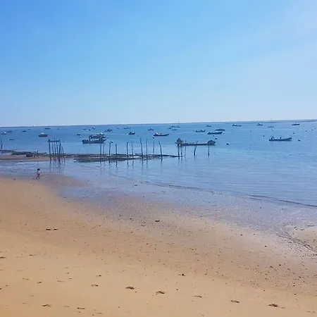 6 Ch. Avec Sauna, Jardin Et Parking Pres Du Bassin D'arcachon - Fr-1-736-51 Villa
