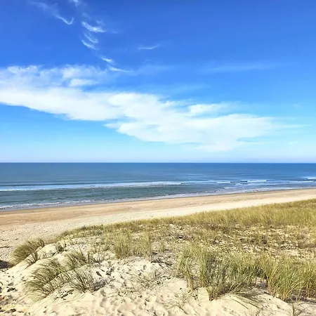 6 Ch. Avec Sauna, Jardin Et Parking Pres Du Bassin D'arcachon - Fr-1-736-51 Villa Lege-Cap-Ferret