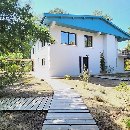 Villa 6 Ch. Avec Sauna, Jardin Et Parking Pres Du Bassin D'arcachon - Fr-1-736-51
