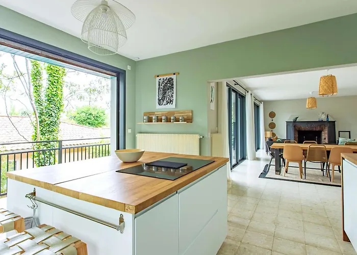 6 Ch. Avec Sauna, Jardin Et Parking Pres Du Bassin D'arcachon - Fr-1-736-51 Villa