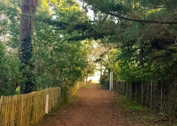 6 Ch. Avec Sauna, Jardin Et Parking Près Du Bassin D'arcachon - Fr-1-736-51 * Lège-Cap-Ferret