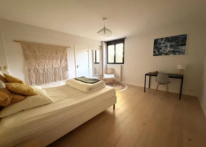 6 Ch. Avec Sauna, Jardin Et Parking Près Du Bassin D'arcachon - Fr-1-736-51 *