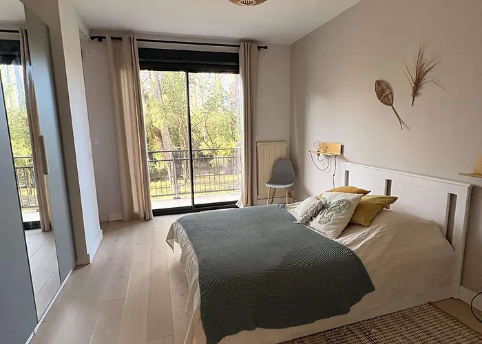 6 Ch. Avec Sauna, Jardin Et Parking Près Du Bassin D'arcachon - Fr-1-736-51 Villa Lège-Cap-Ferret
