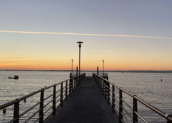 6 Ch. Avec Sauna, Jardin Et Parking Près Du Bassin D'arcachon - Fr-1-736-51 * Lège-Cap-Ferret